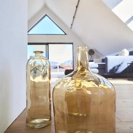 公寓 Designapartment 萨尔茨堡